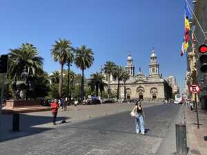 Cathedral in plaza lined with palm trees