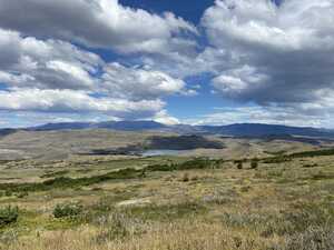 Grassy hills