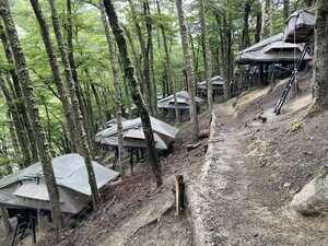 Tents on stilts on hillside