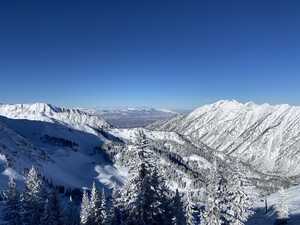 Snowy wooded valley between mountains