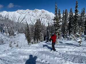 Skiier in red jacket in snowy woods with mountain behind