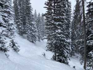 Ski tracks on snowy slope through woods