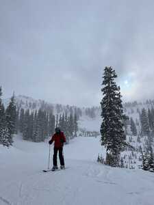 Skiier on slope on snowy day