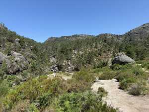 Dry mountain with forest cover