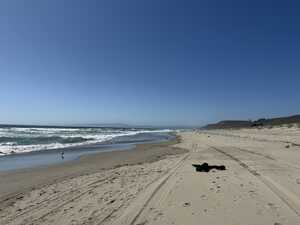 Beach on sunny day