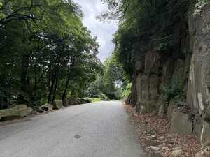 Road through trees with cloudy sky above and rock wall to right