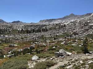 Rocky patch of grass in mountains