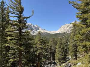 Mountains rising above forest