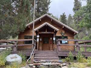 Wooden building in forest