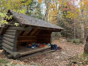 Wooden shelter in the woods with fall leaves