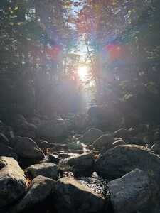 Sunlight through streams up rocky brook