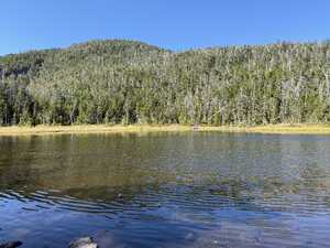 Lake in front of mountain with pine trees