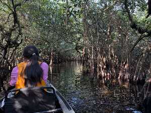 Back of girl in kayak through watery forest