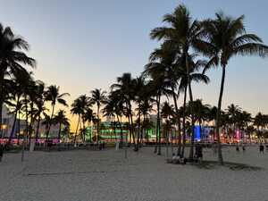 Sand volleyball nets with palm trees and lit-up street behind at sunset