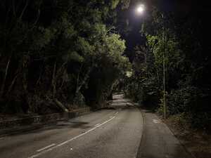 Road through forest at night