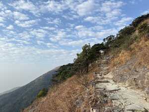 Staircase in side of mountain with yellow grass and trees