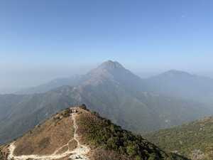 Mountain in distance rising above forest