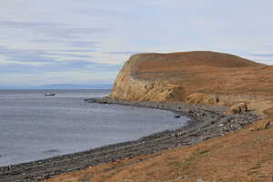 Oceanside cliffs with yellow grass