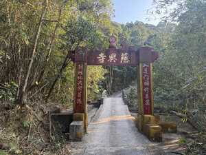 Red gate over forest road