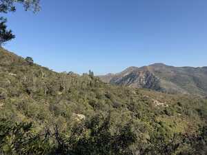 View of forested mountains