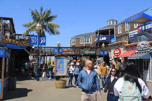 Busy pier with palm tree