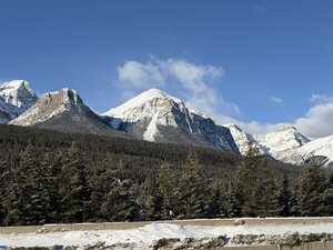 Snow-capped mountains behind forest on road