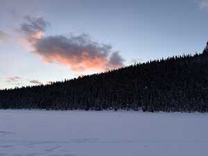 Pink clouds above snowy forest