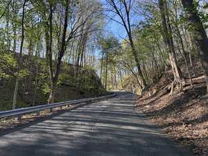Paved road through woods