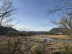 Marshland with mountains behind