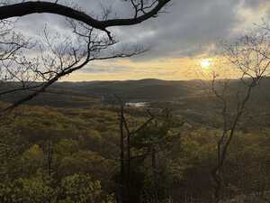 Setting sun over forest
