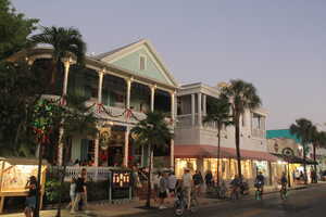 Buildings in palm-lined street at dusk