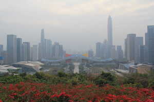 Skyline with curved building and flowers in front