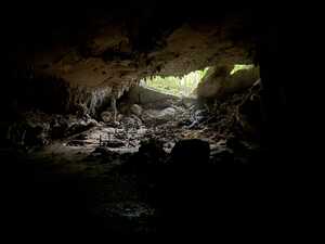 Dark cave with wide exit looking into green forest