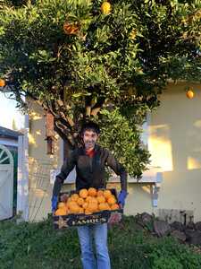 Asian man with crate of oranges