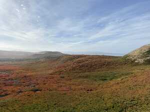 Red grass on hills