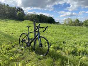 Bicycle in a field