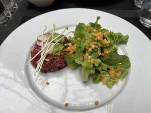 Dish of raw beef and salad