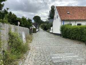 Cobbled hill between houses