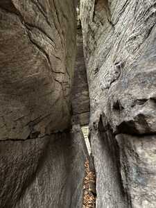 Crevice in rock