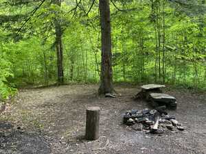 Campsite in the woods