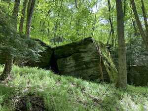 Stone monoliths in woods