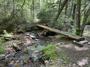 Log crossing over stream