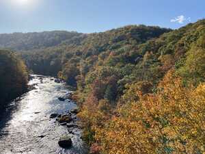River gorge with fall leaves