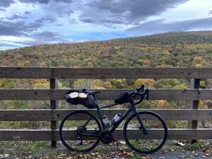 Bike against fence before fall trees
