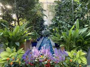 Pool in indoor gardens