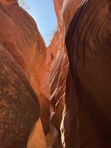 Looking up in a slot canyon