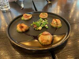 Seared scallops on plate