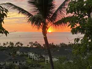 Sunset behind palm tree