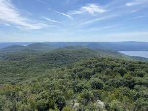 Forest from mountaintop