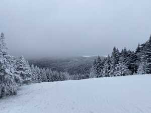 Snow ski trail lines with trees